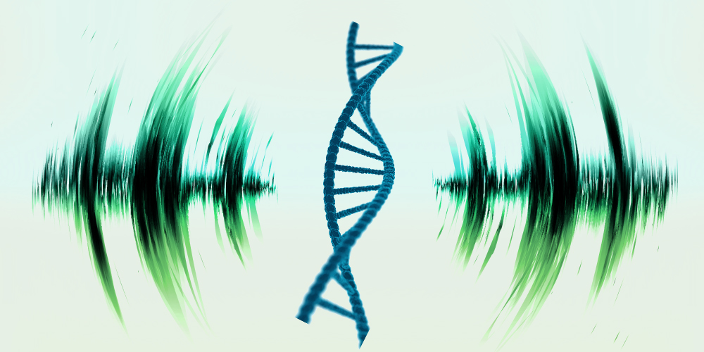 From Genomes to Phenomes