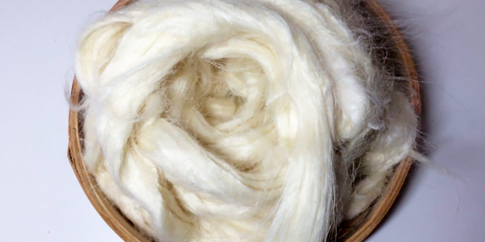 NIHC Global Industrial Hemp Fiber Showcase