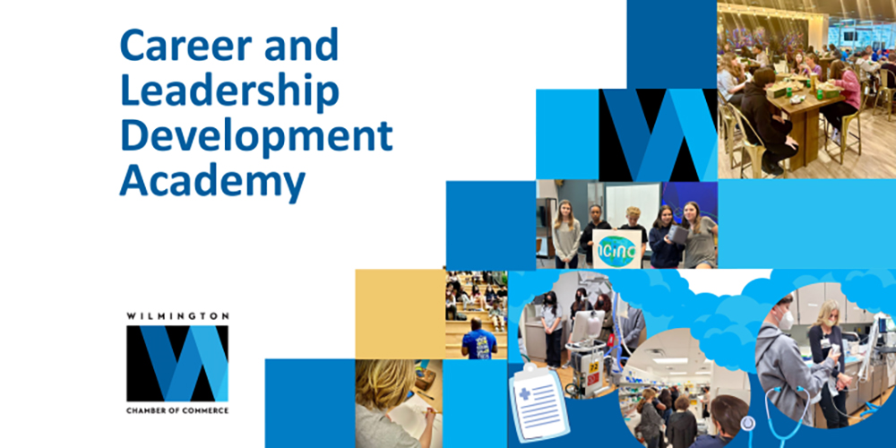Career and Leadership Development Academy